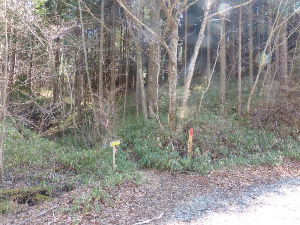 段戸山駒ヶ原登山口